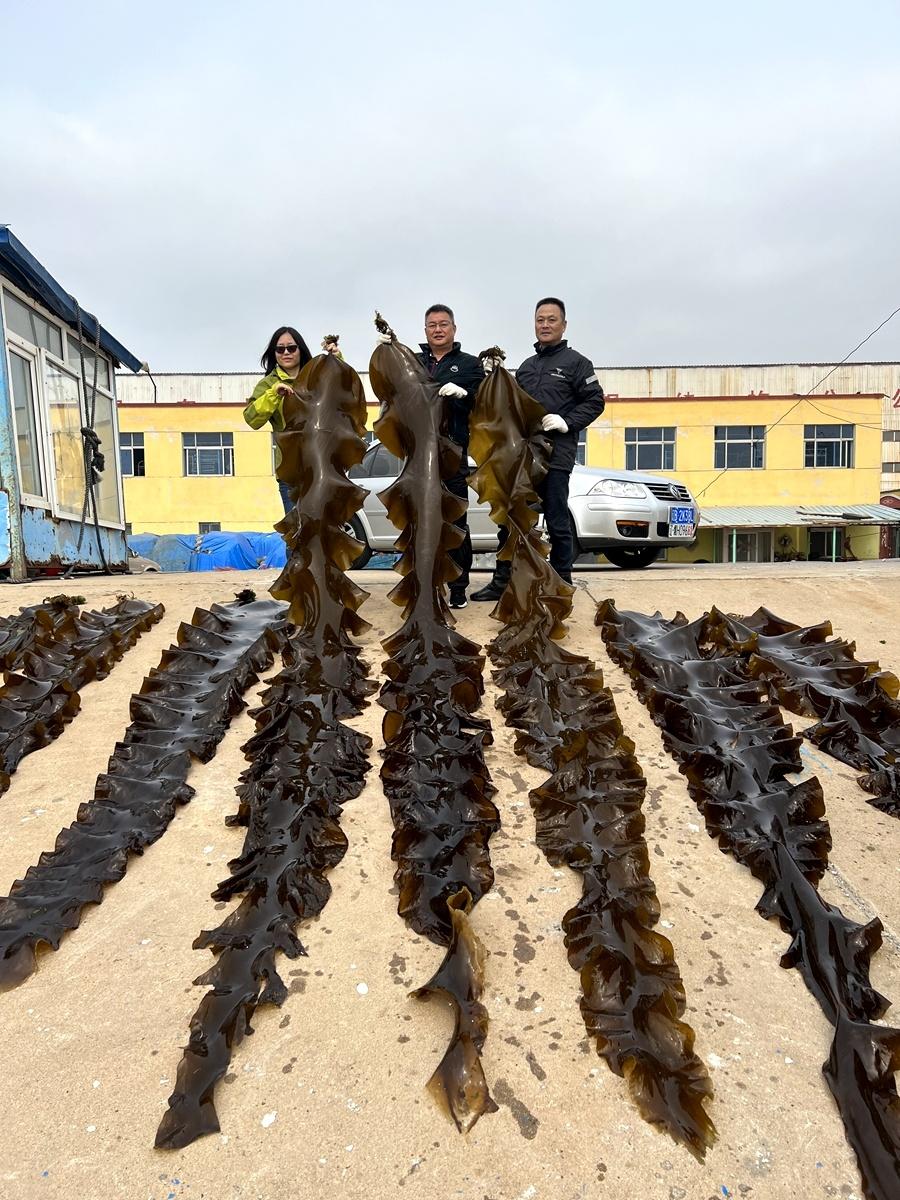 福建本帮富硒蔬菜(万亩富硒蔬菜基地)-硒宝网