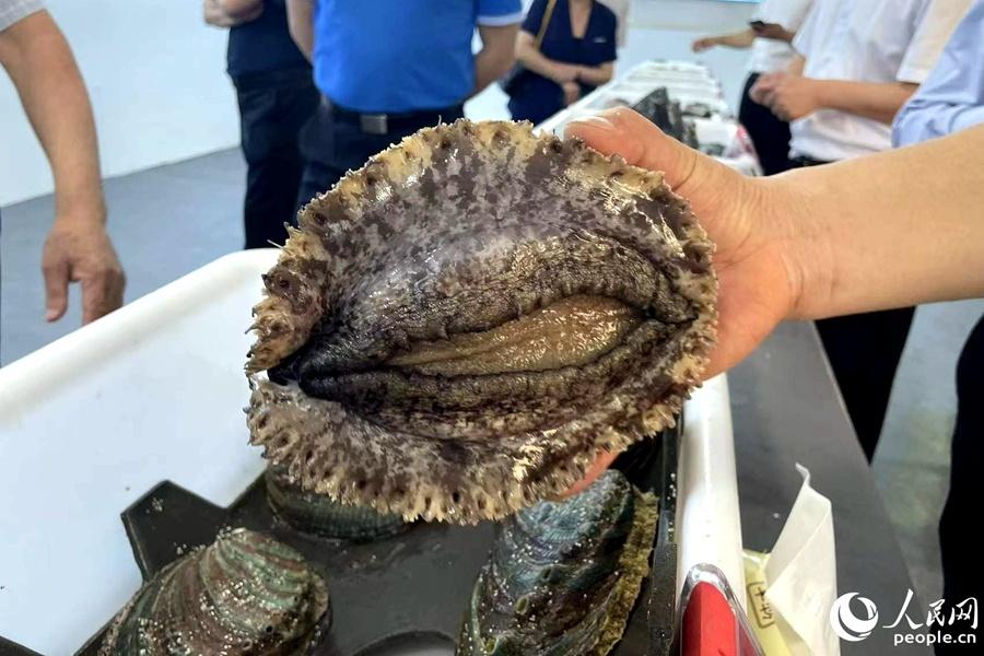 福建本帮富硒蔬菜(万亩富硒蔬菜基地)-硒宝网