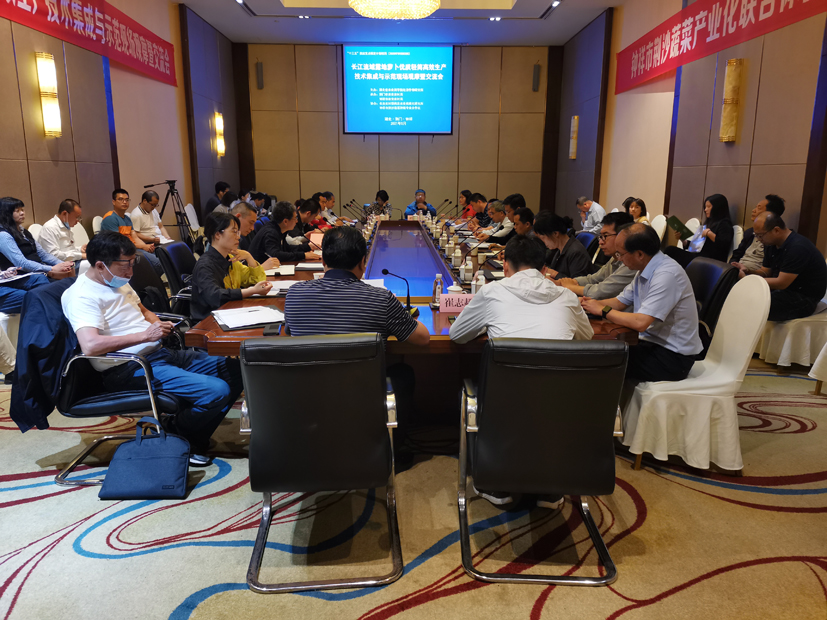 富硒蔬菜种植观摩（富硒农业种植的三大特点）-硒宝网