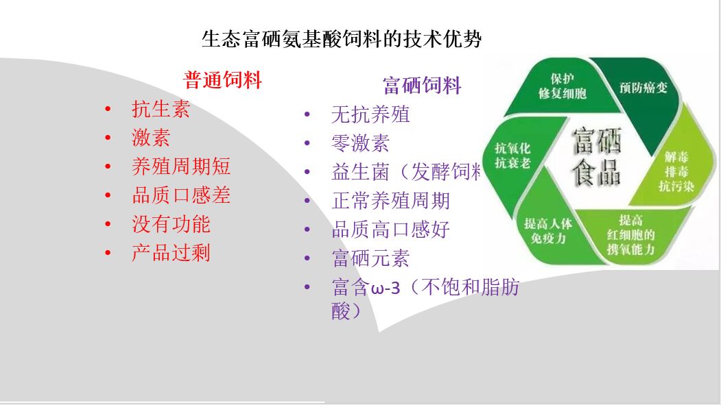 富硒蔬菜什么意思(蔬菜硒)-硒宝网