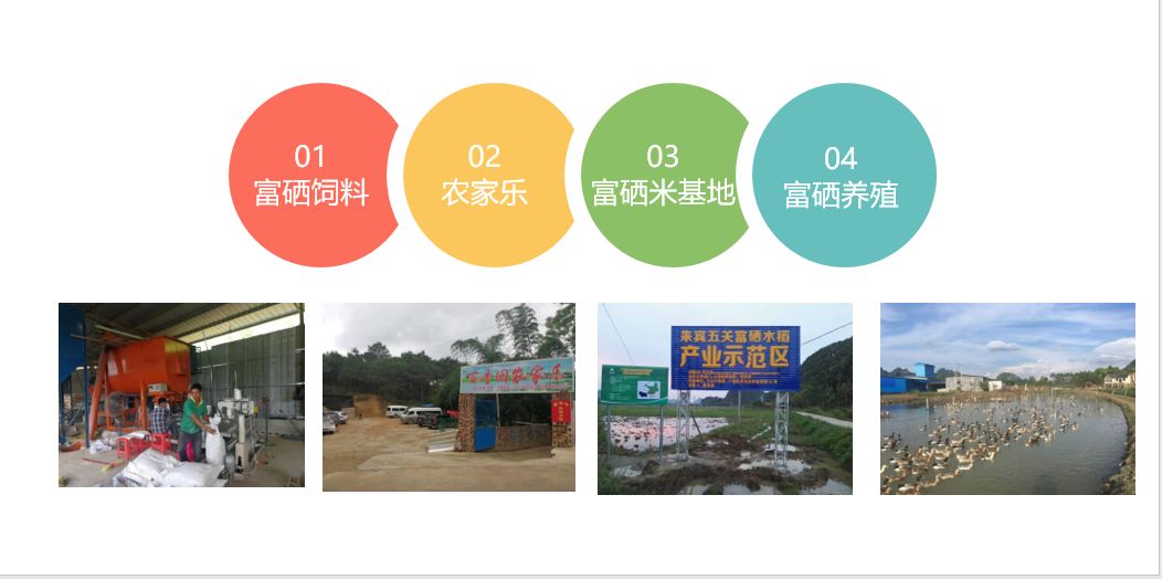 富硒蔬菜什么意思(蔬菜硒)-硒宝网