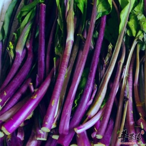 富硒蔬菜粉的做法(蔬菜粉的功效与作用)-硒宝网