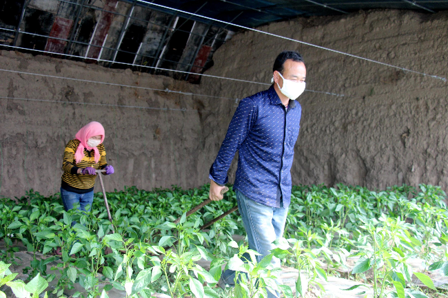 富硒蔬菜基地介绍（富硒蔬菜产业园）-硒宝网