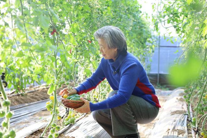 富硒蔬菜基地介绍（富硒蔬菜产业园）-硒宝网