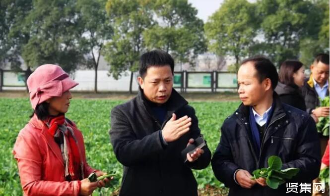 富硒种植蔬菜水果(富硒类蔬菜水果)-硒宝网