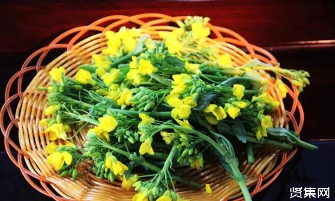 富硒种植蔬菜水果(富硒类蔬菜水果)-硒宝网