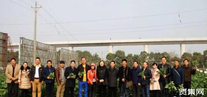 富硒种植蔬菜水果(富硒类蔬菜水果)-硒宝网