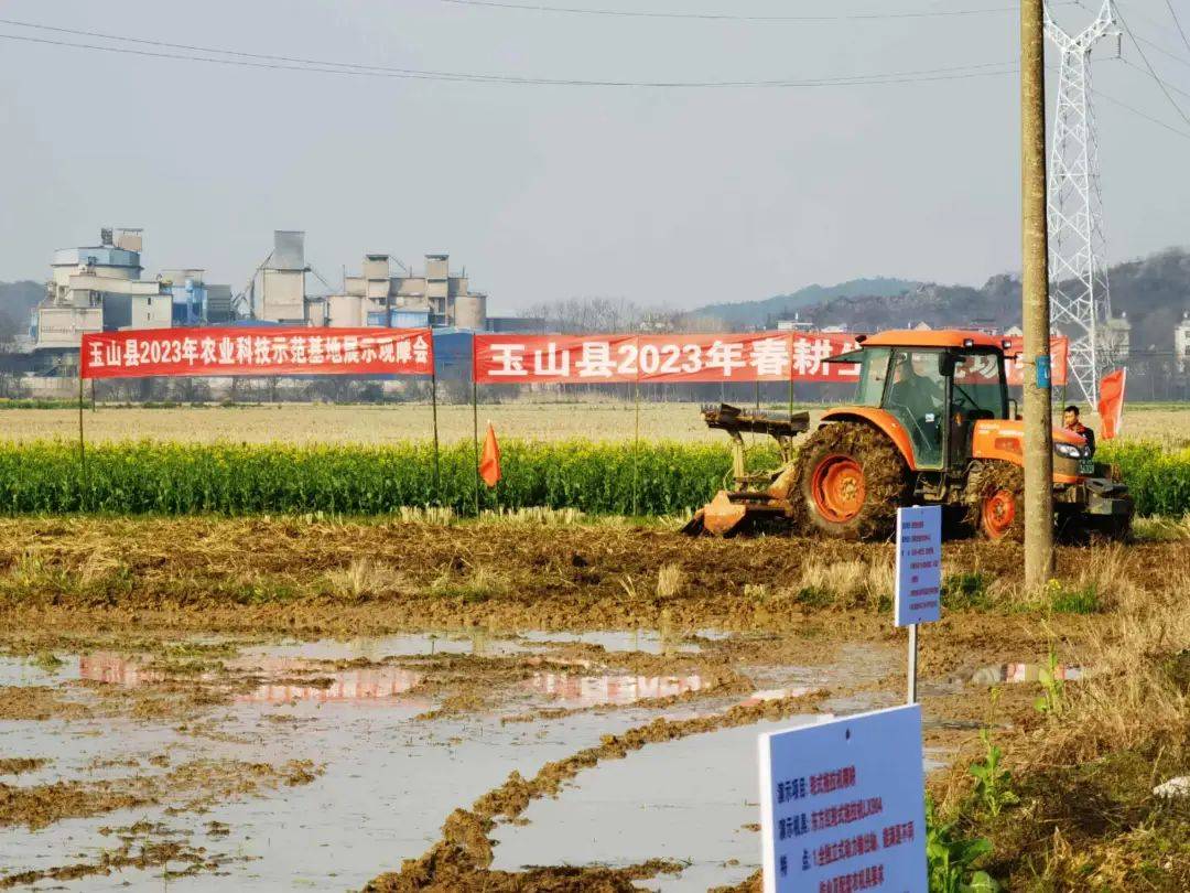 玉山富硒蔬菜种植(富硒玉米价格)-硒宝网