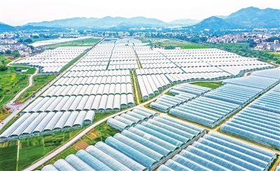 江西富硒蔬菜基地(江西富硒蔬菜在哪里)-硒宝网