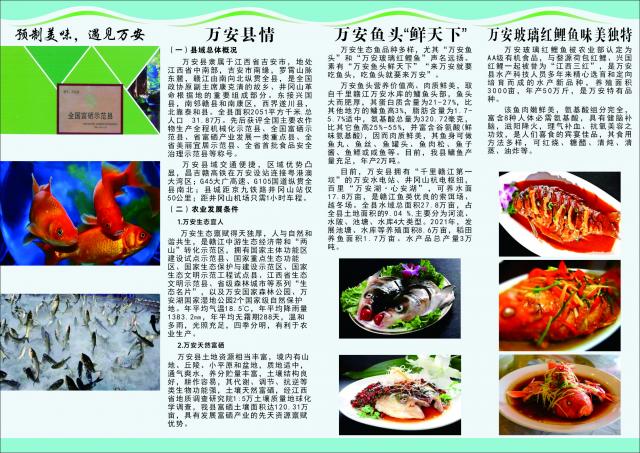 江西富硒蔬菜种植（江西富硒蔬菜产业集群）-硒宝网