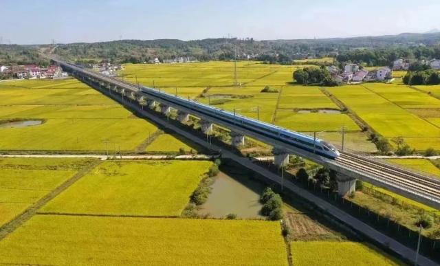 江西富硒蔬菜种植（江西富硒蔬菜产业集群）-硒宝网