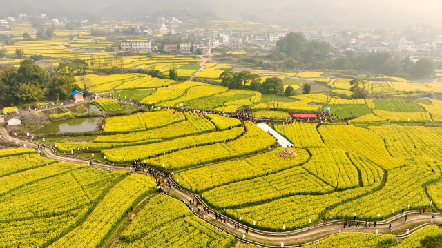 江西富硒蔬菜种植（江西富硒蔬菜产业集群）-硒宝网