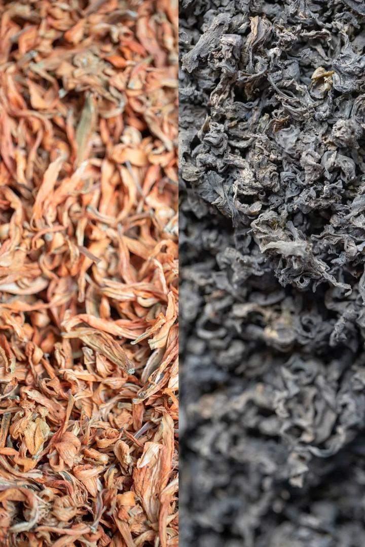 鲁东食客富硒蔬菜(富硒蔬菜含量标准)-硒宝网