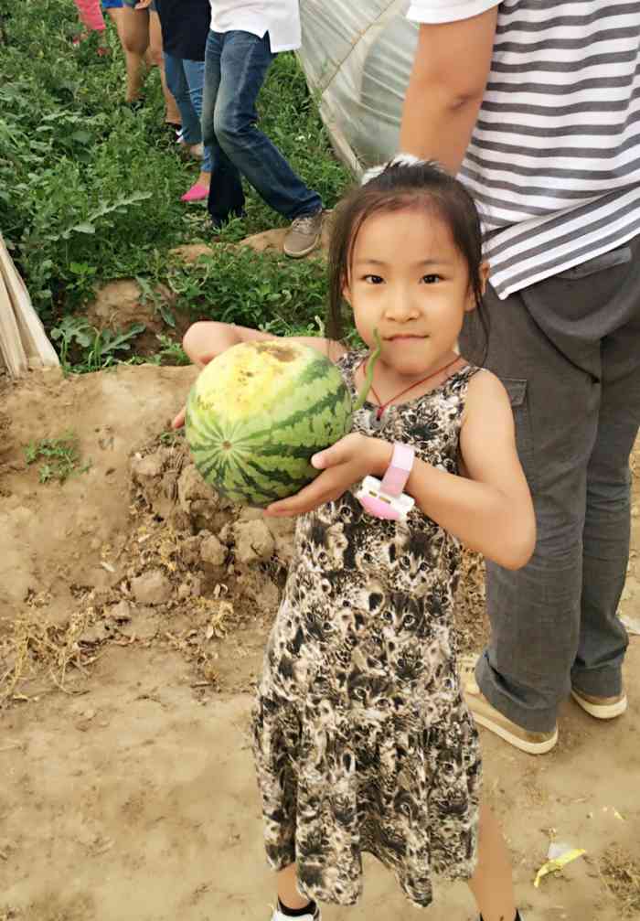 临淄富硒蔬菜采摘(淄川富硒采摘园)-硒宝网