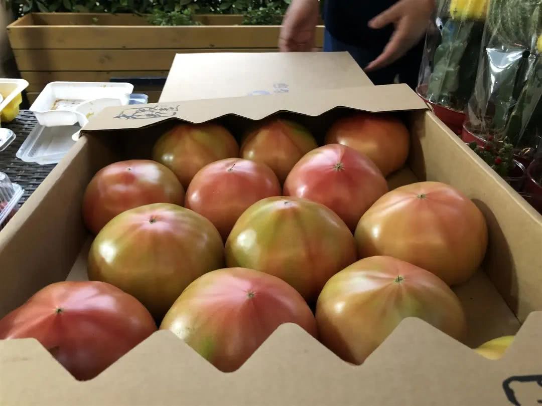 临淄富硒蔬菜采摘(淄川富硒采摘园)-硒宝网