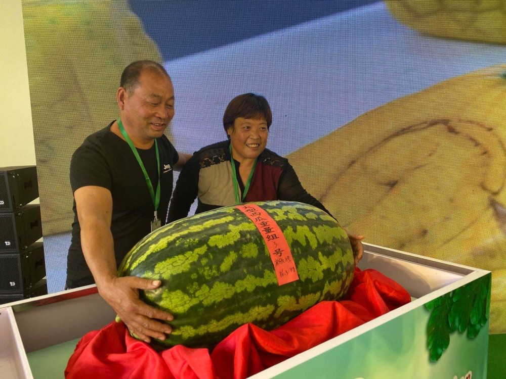 临淄富硒蔬菜采摘(淄川富硒采摘园)-硒宝网