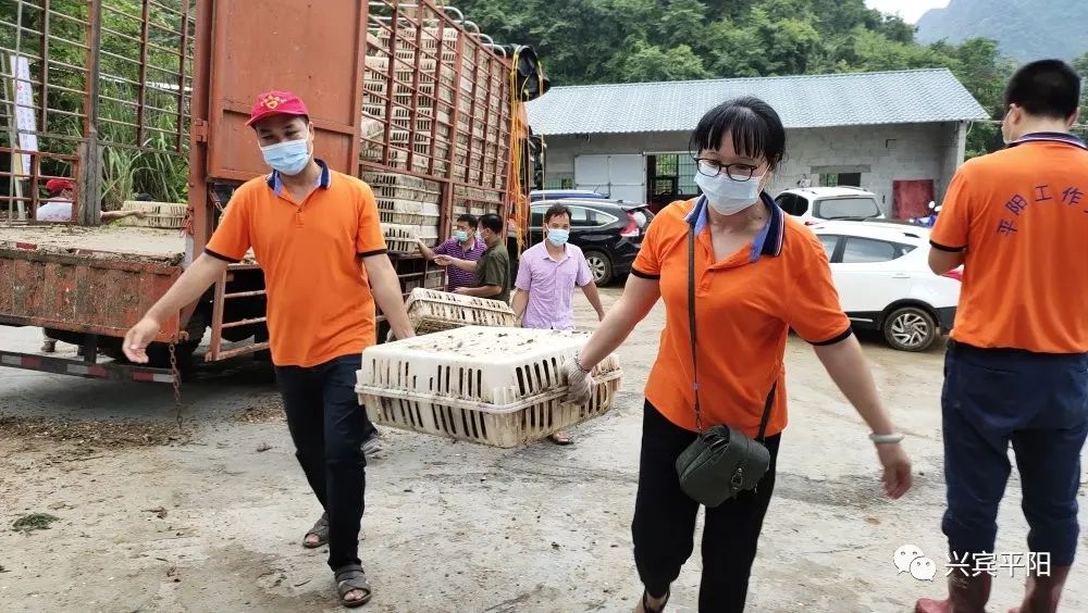 张店富硒蔬菜基地(富硒蔬菜产业园)-硒宝网