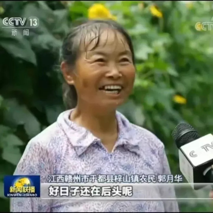 富硒蔬菜种植发展(蔬菜种植富硒发展现状)-硒宝网