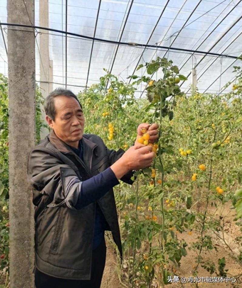 现代农业富硒蔬菜(富硒蔬菜价格比普通蔬菜)-硒宝网