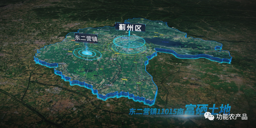 打造万亩富硒蔬菜(富硒蔬菜有什么好处)-硒宝网