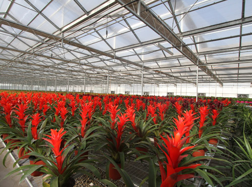 赣州富硒蔬菜基地（江西赣州蔬菜基地）-硒宝网