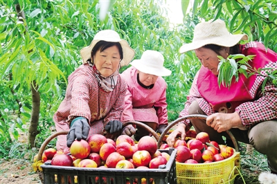 富硒蔬菜水果好处(水果蔬菜含硒一览表)-硒宝网