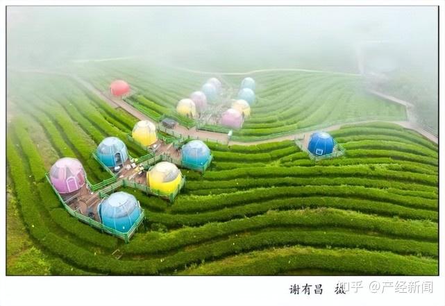 东升富硒蔬菜基地(东升蔬菜出什么事了)-硒宝网