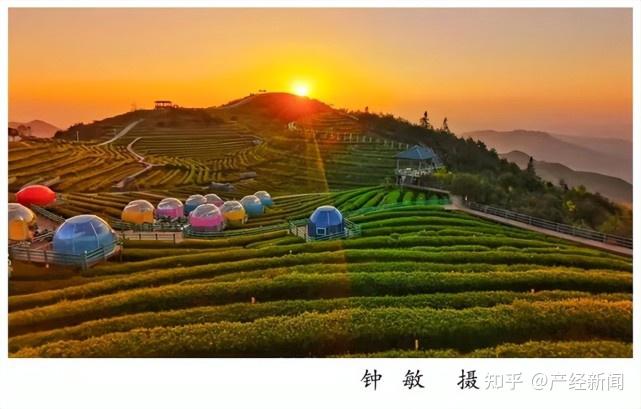 东升富硒蔬菜基地(东升蔬菜出什么事了)-硒宝网