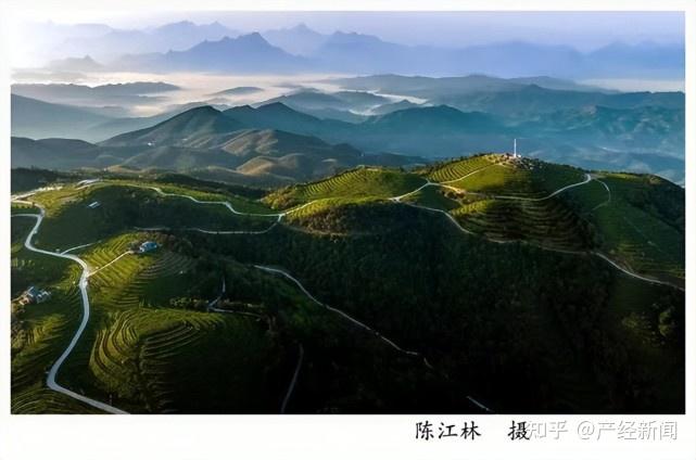 东升富硒蔬菜基地(东升蔬菜出什么事了)-硒宝网