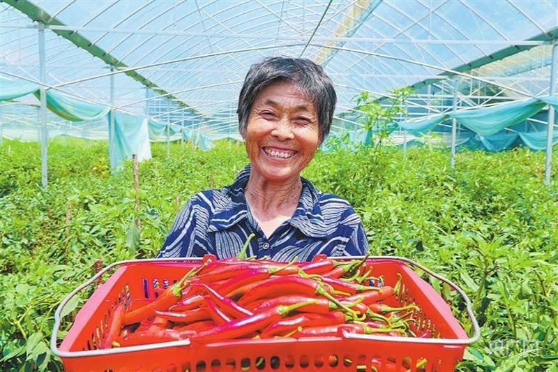 梓山富硒蔬菜基地(梓山富硒蔬菜产业园)-硒宝网