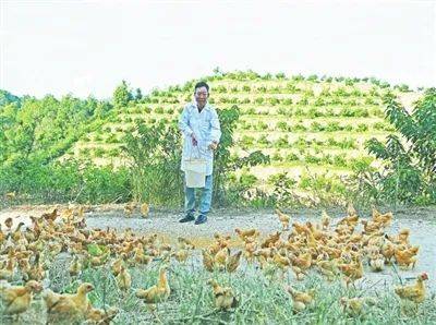 邢台富硒蔬菜基地(邢台蔬菜种植基地)-硒宝网