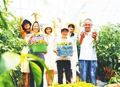 邢台富硒蔬菜基地(邢台蔬菜种植基地)-硒宝网