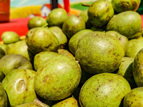 中敬品康富硒蔬菜（蔬菜富硒标准）-硒宝网