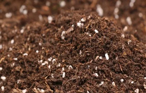 富硒有机蔬菜种植(怎样种植富硒蔬菜)-硒宝网