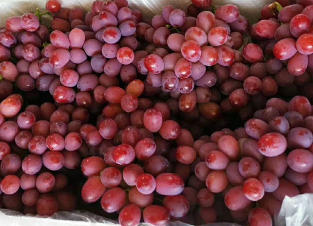 种蔬菜用的富硒肥（蔬菜肥种富硒用什么好）-硒宝网