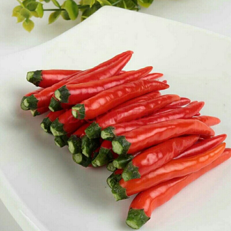 种蔬菜用的富硒肥(蔬菜肥种富硒用量多少)-硒宝网