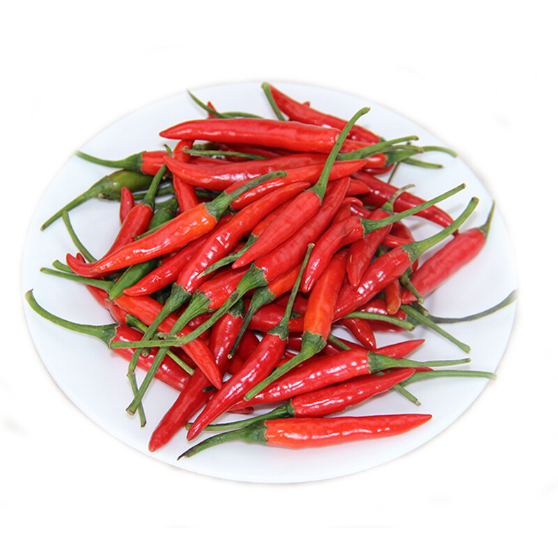 种蔬菜用的富硒肥(蔬菜肥种富硒用量多少)-硒宝网