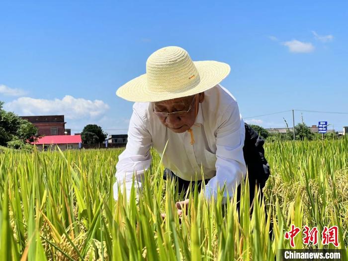 中敬品康富硒蔬菜（蔬菜富硒标准是多少）-硒宝网