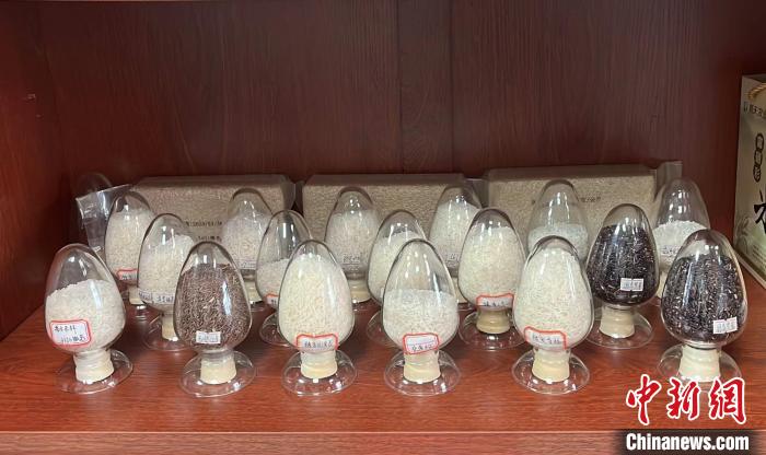 中敬品康富硒蔬菜（蔬菜富硒标准是多少）-硒宝网