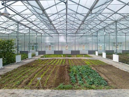 富硒蔬菜无土栽培（怎样种植富硒蔬菜）-硒宝网