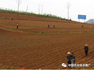 做富硒蔬菜怎么样(富硒蔬菜怎么种植)-硒宝网