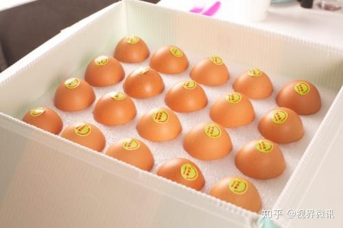 富硒蔬菜种子批发（中国富硒蔬菜杂交）-硒宝网