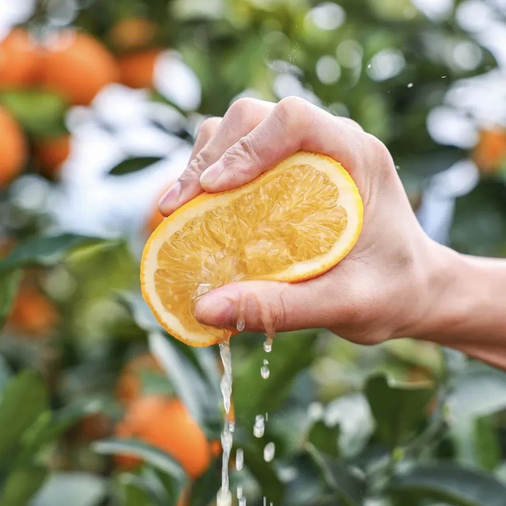 富硒蔬菜保鲜期长（蔬菜保鲜期长富硒的原因）-硒宝网