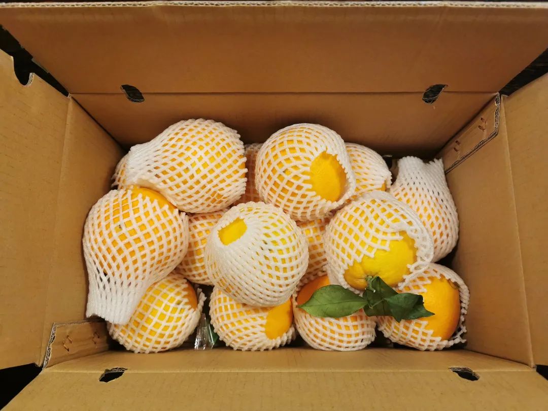 富硒蔬菜保鲜期长（蔬菜保鲜期长富硒的原因）-硒宝网