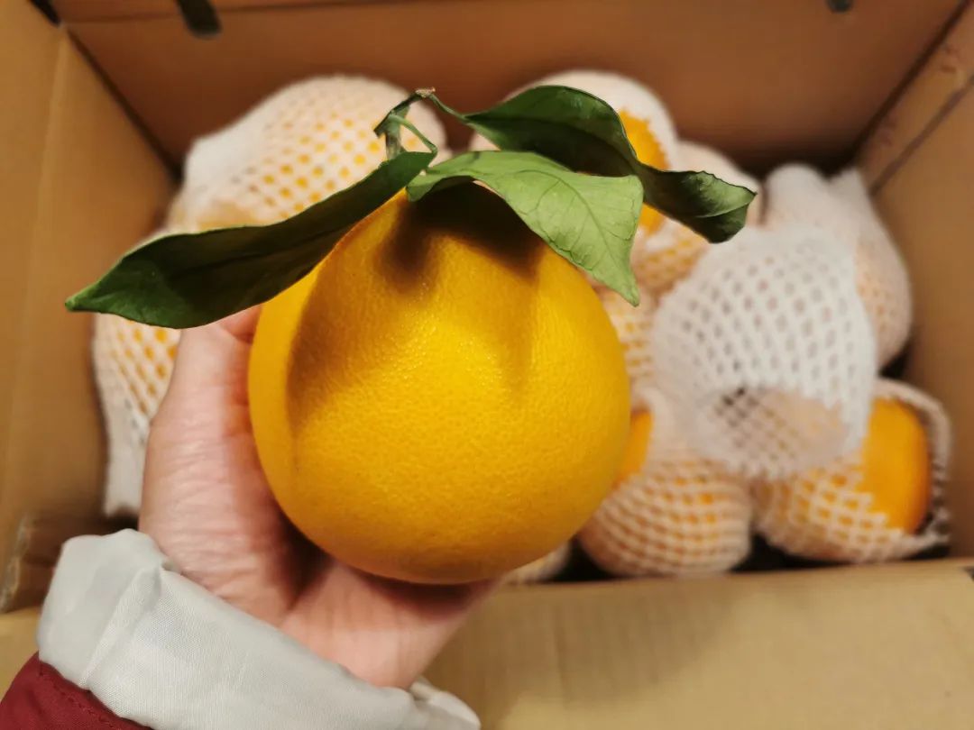 富硒蔬菜保鲜期长（蔬菜保鲜期长富硒的原因）-硒宝网