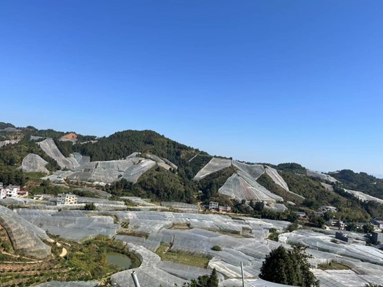 富硒蔬菜保鲜期长（蔬菜保鲜期长富硒的原因）-硒宝网