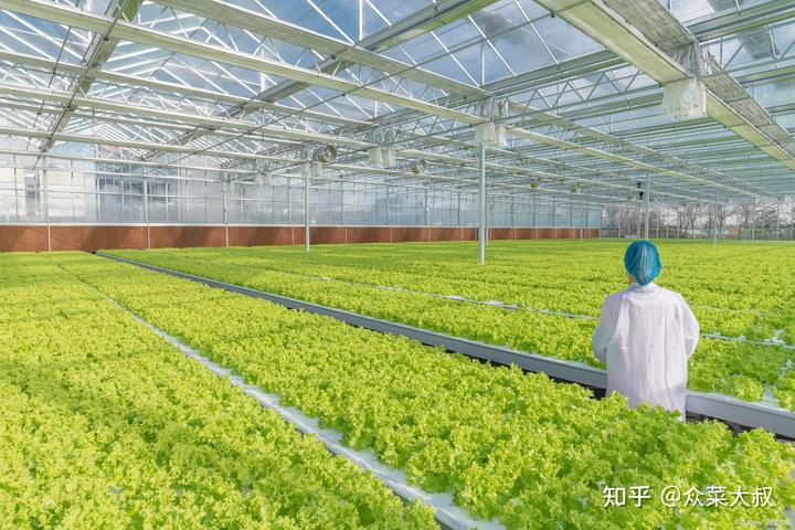 富硒蔬菜无土栽培(土壤富硒土地适合种什么)-硒宝网