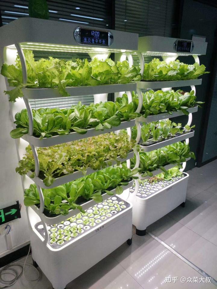 富硒蔬菜无土栽培(土壤富硒土地适合种什么)-硒宝网