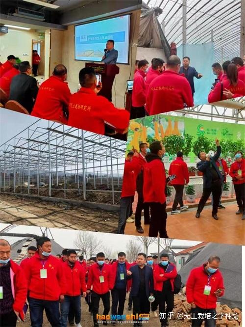 富硒蔬菜无土栽培(土壤含富硒)-硒宝网