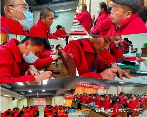 富硒蔬菜无土栽培(土壤含富硒)-硒宝网